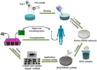 Progress of research on graphene and its derivatives in bone and cartilage repair